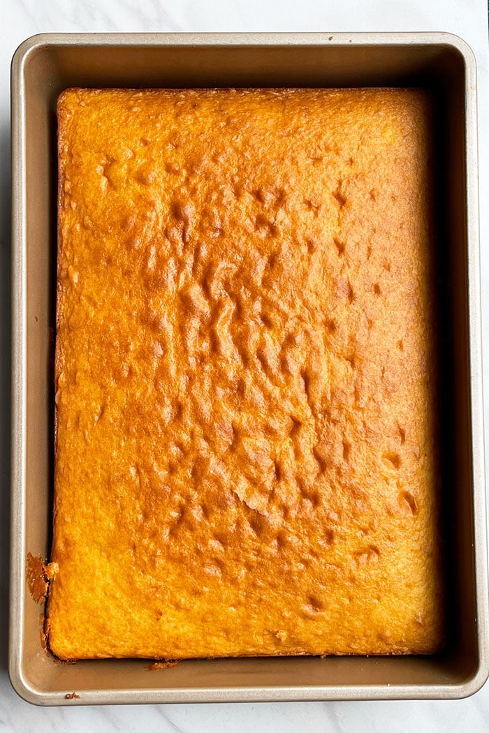 Unfrosted Yellow Cake in Rectangle Pan- Overhead Shot