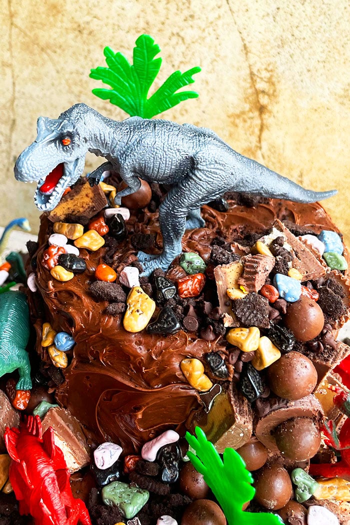 Easy Homemade Birthday Dino Cake- Closeup Shot of Top Tier