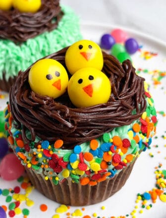 Easy Easter Cupcakes (Chick Cupcakes or Nest Cupcakes) on White Plate With Sprinkles
