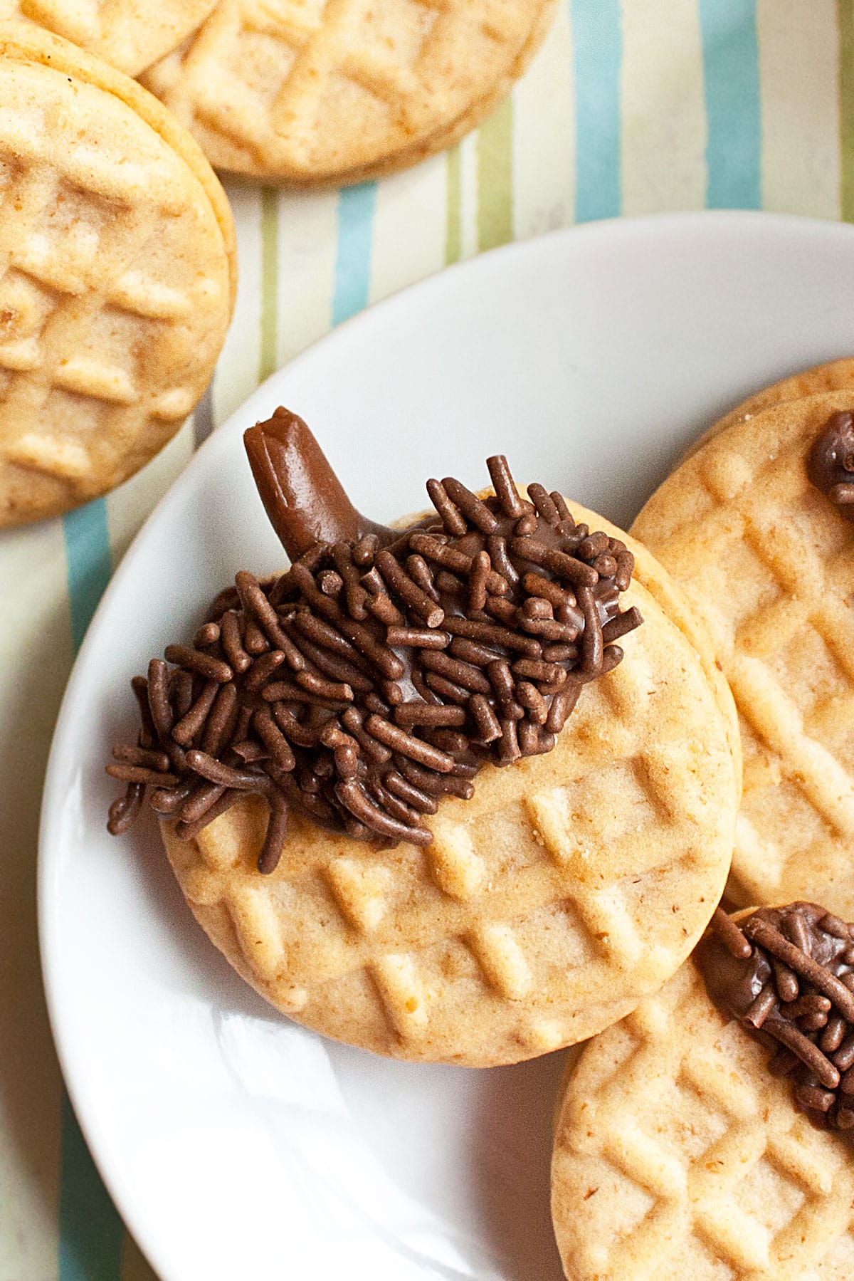 Easy Nutter Butter Acorn Cookies on White Dish- Closeup Shot.