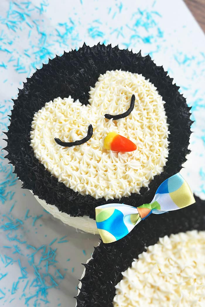 Easy Homemade Penguin Birthday Cake- Closeup Shot of Face