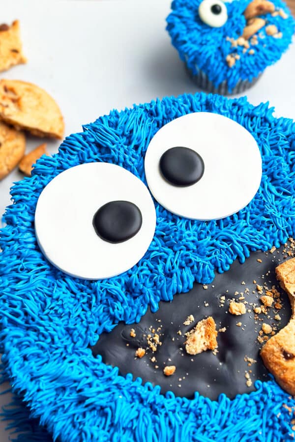 Cookie Monster Cake {Sesame Street} CakeWhiz
