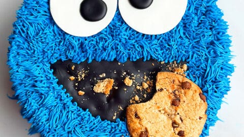 Cookie Monster Cake - Two Sisters