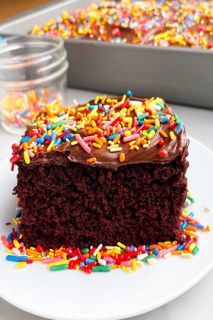 Chocolate Sheet Cake {With Cake Mix} - CakeWhiz