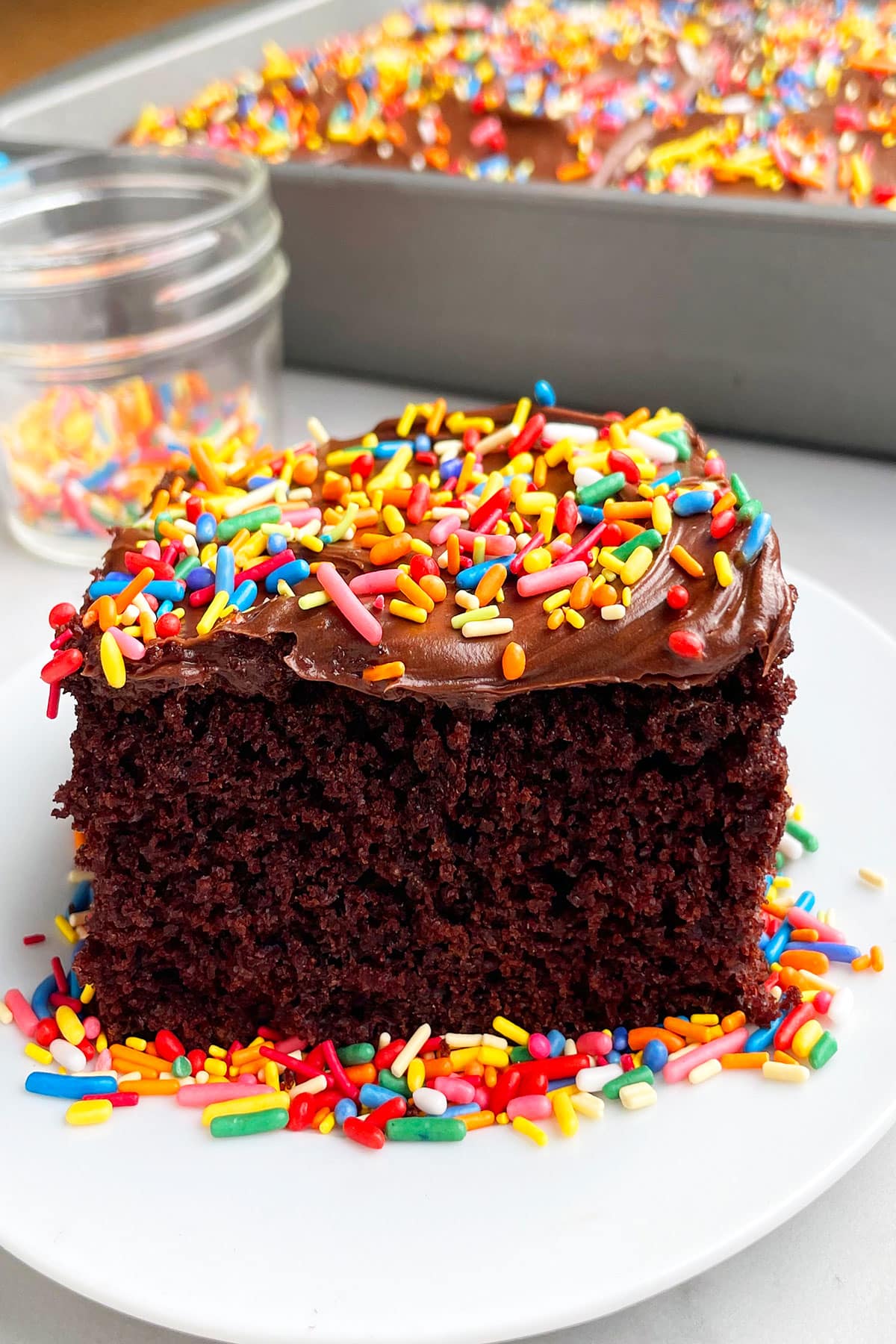 Slice of Chocolate Sheet Cake With Fudge Chocolate Frosting and Sprinkles on White Plate