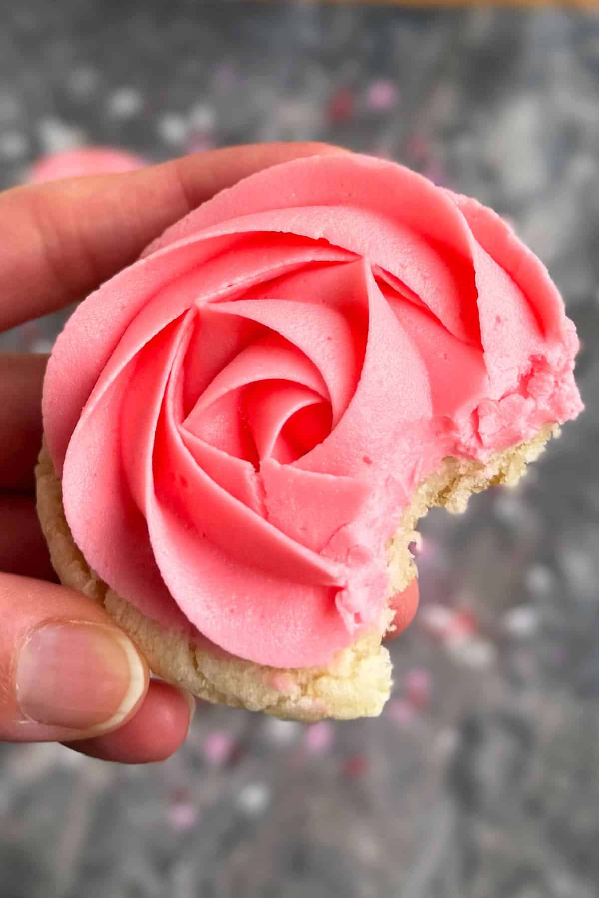 Closeup shot of partially eaten cookie in hands. 