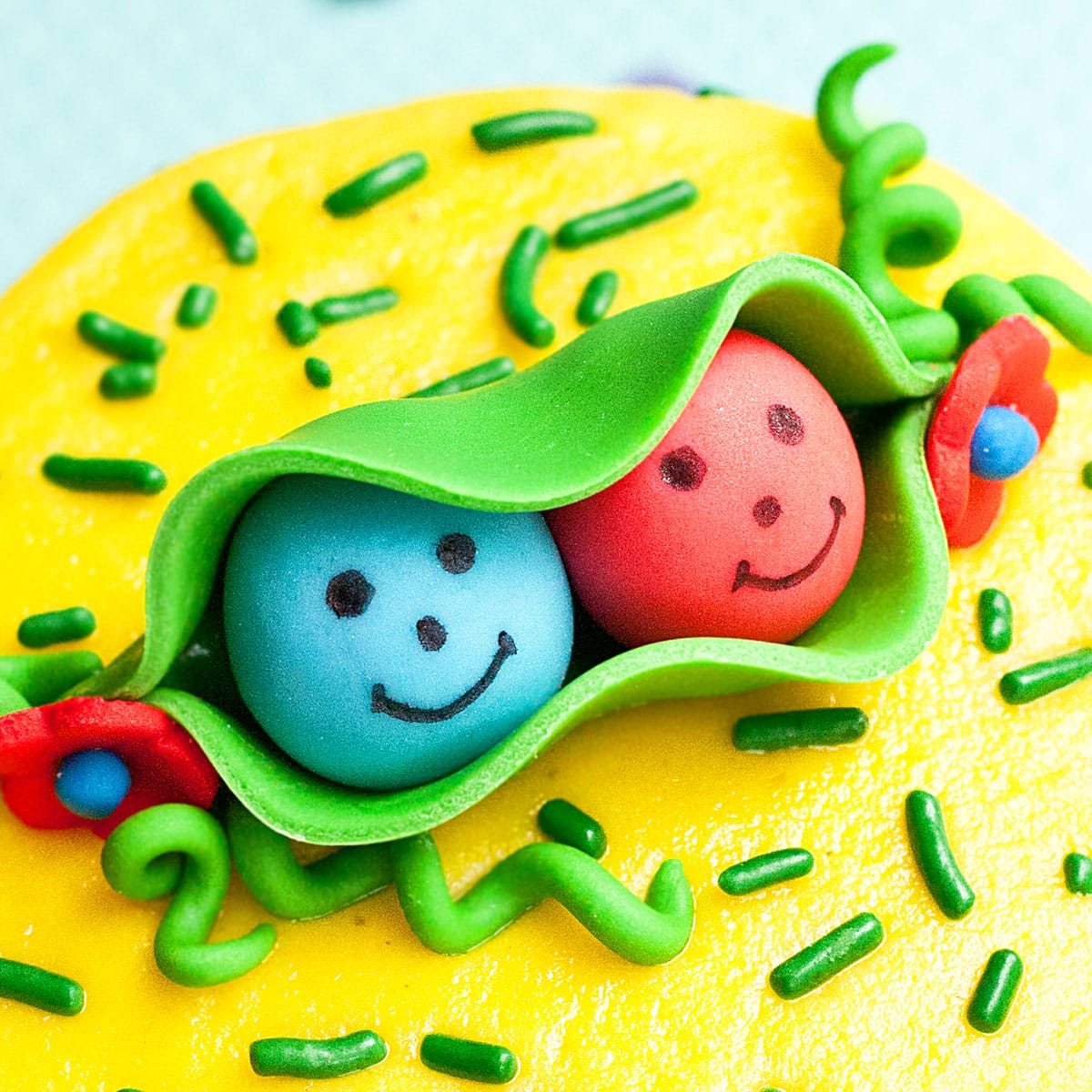 Two Peas in a Pod Cake Topper on White Serving Dish- Closeup Shot