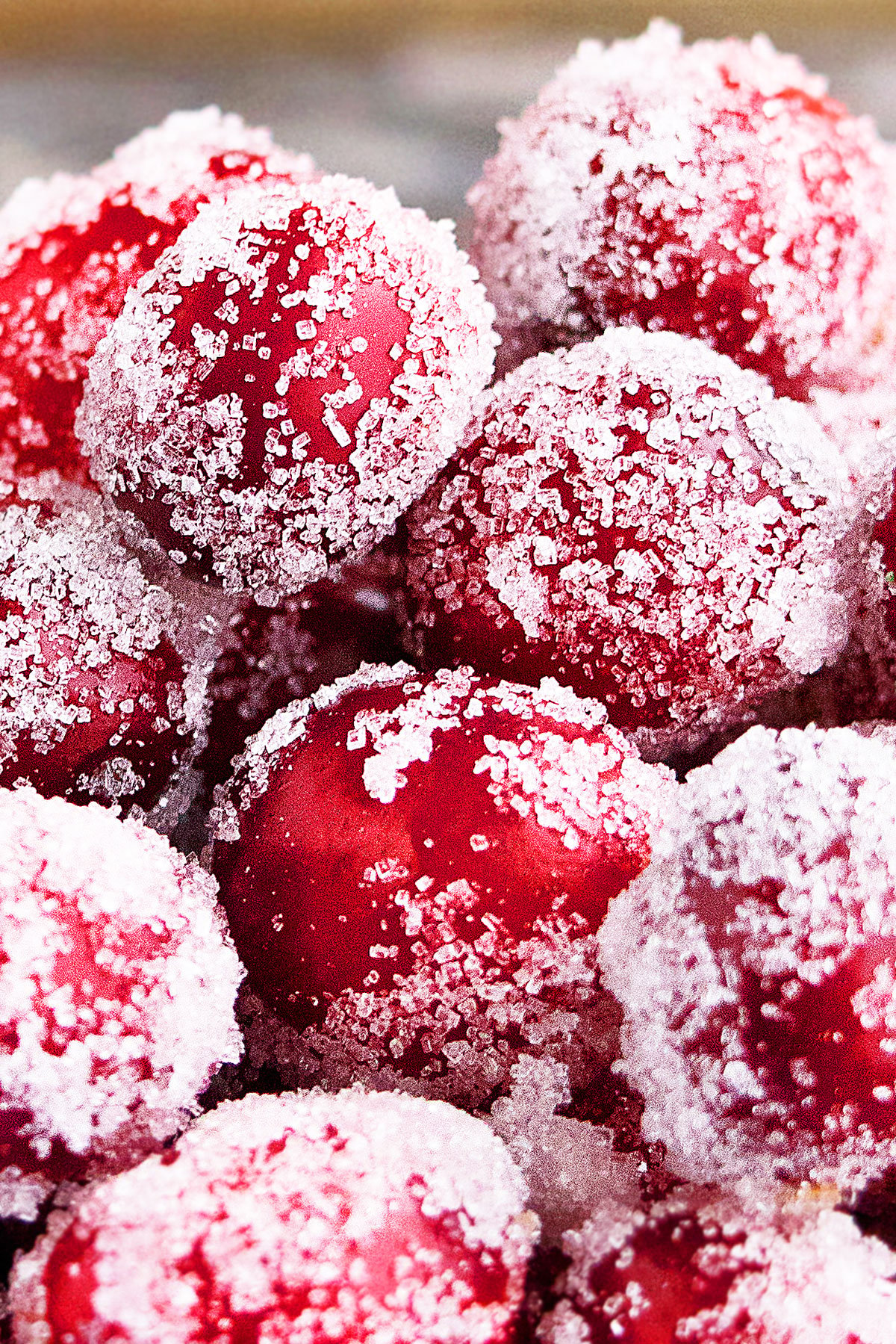 Closeup Shot of Christmas Cranberries.