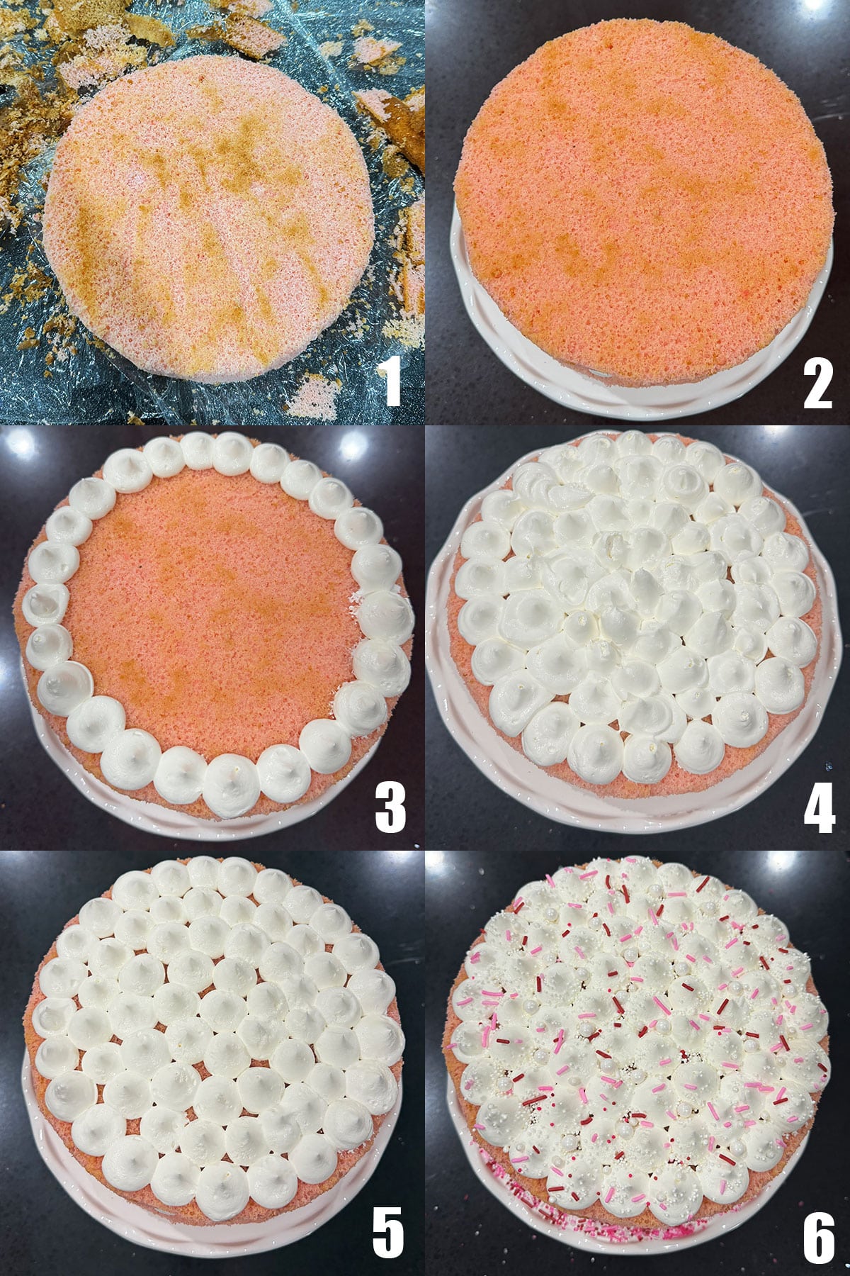 Collage Image With Step by Step Process Shots on How to Make Champagne Cake. 