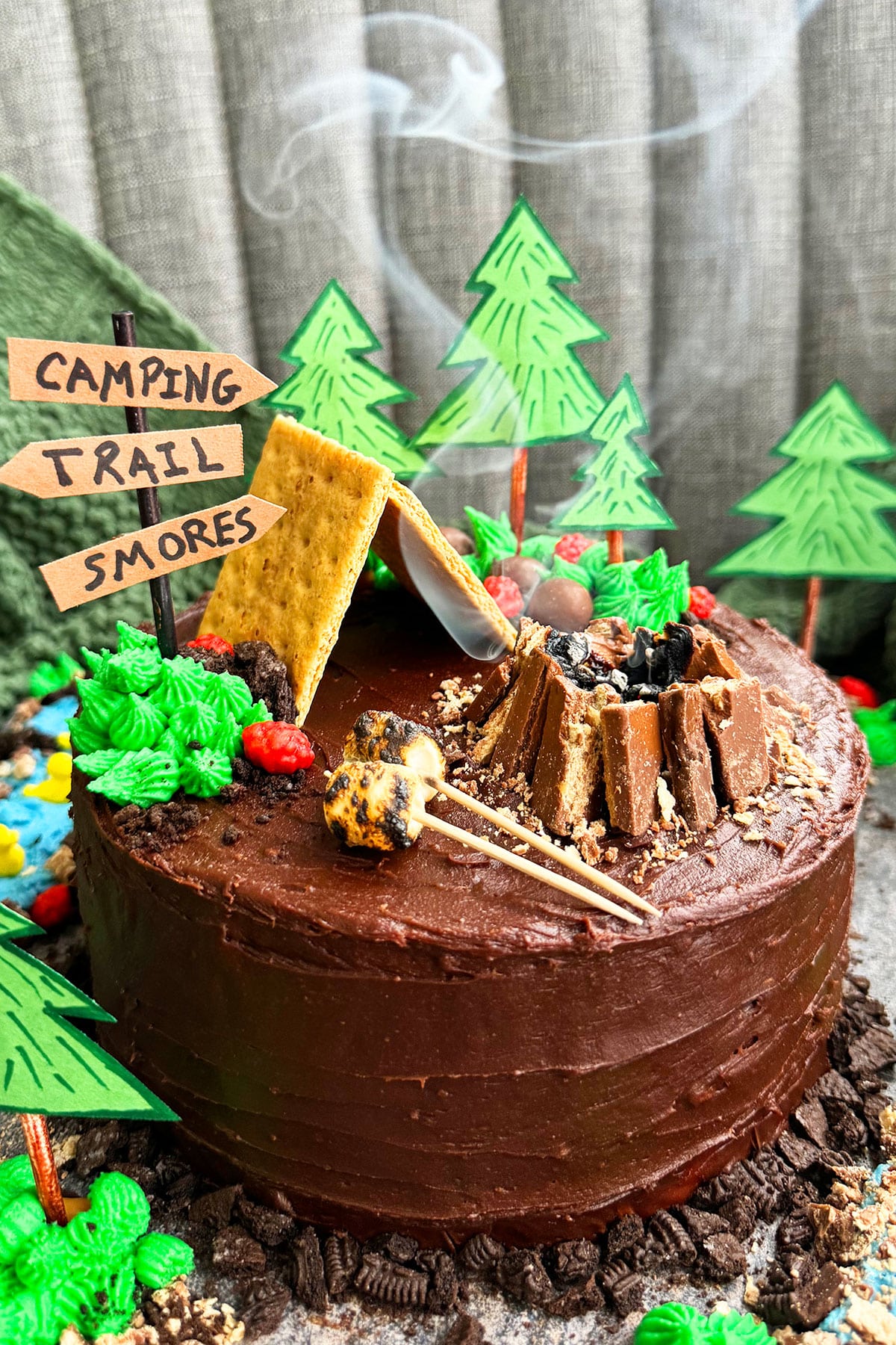 Easy Homemade Camping Birthday Cake With Smoke. 