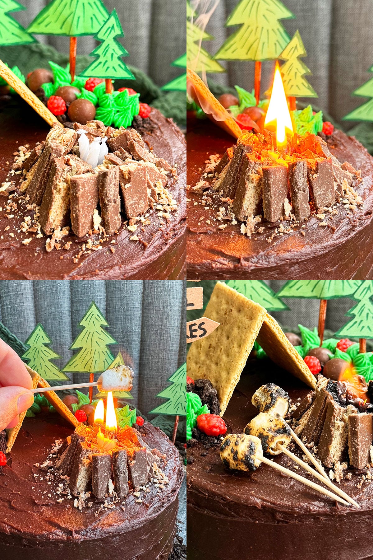 Collage Image With Campfire Cake Details.