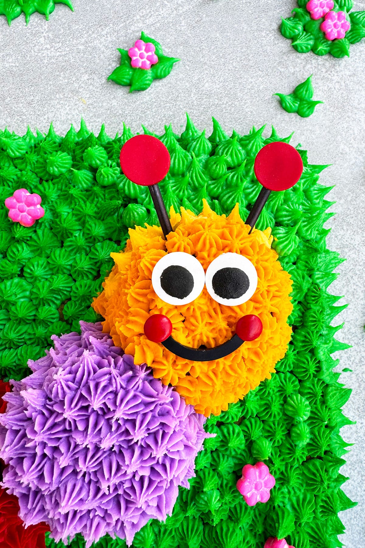 Easy DIY Homemade Caterpillar Birthday Cake- Closeup Shot of the Face. 