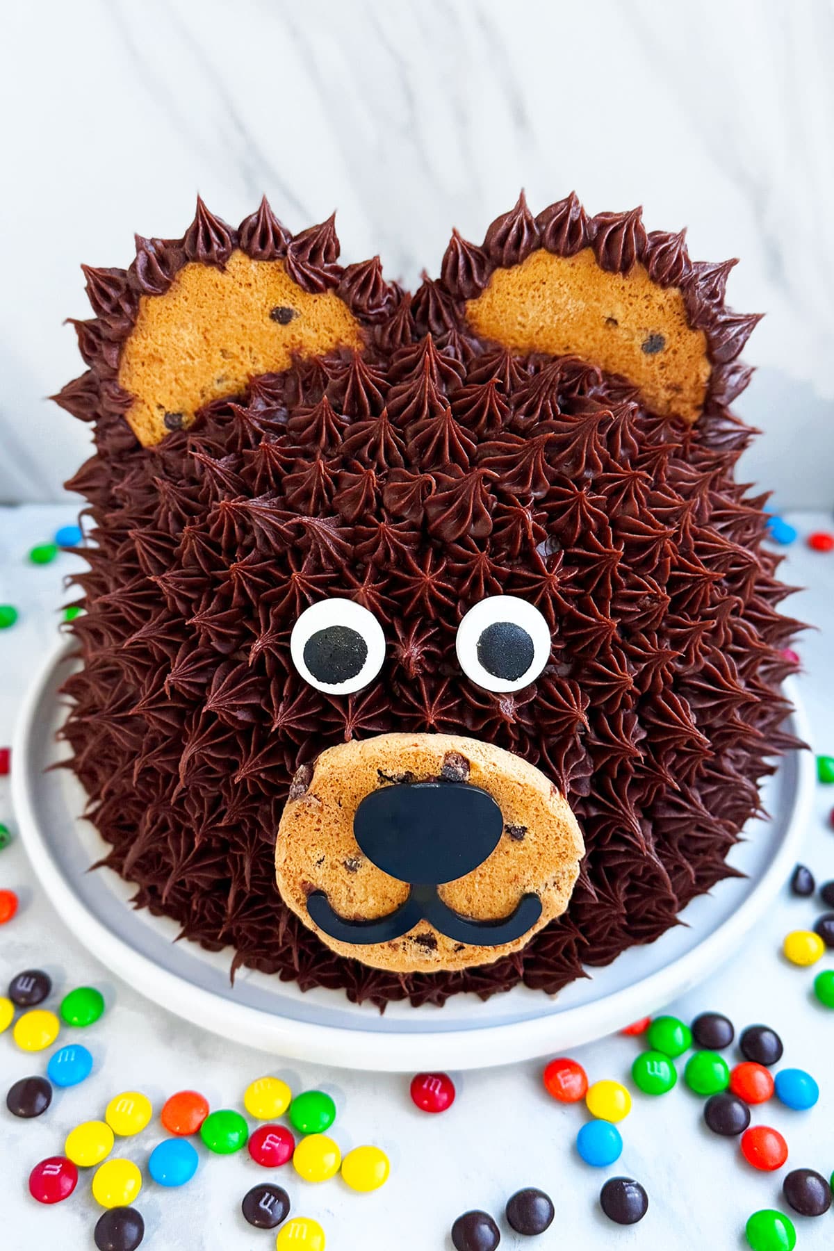 Easy Homemade Bear Birthday Cake on White Dish. 