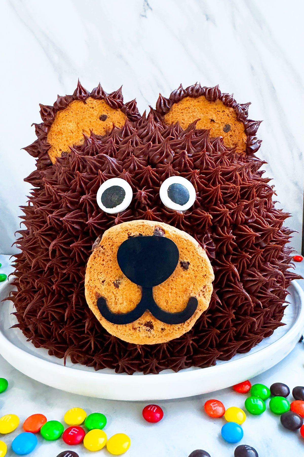 Easy Teddy Bear Cake With Chocolate Frosting on White Dish.
