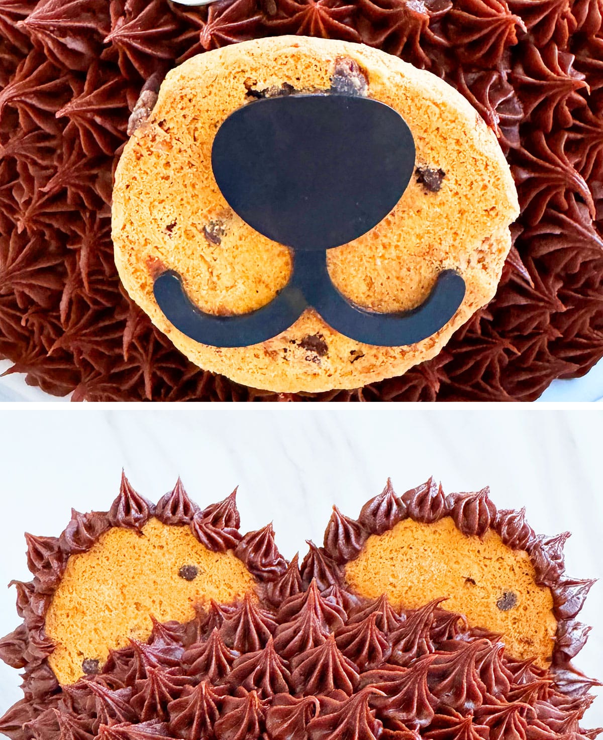 Collage Image With Closeup Shots of Cake Details.  