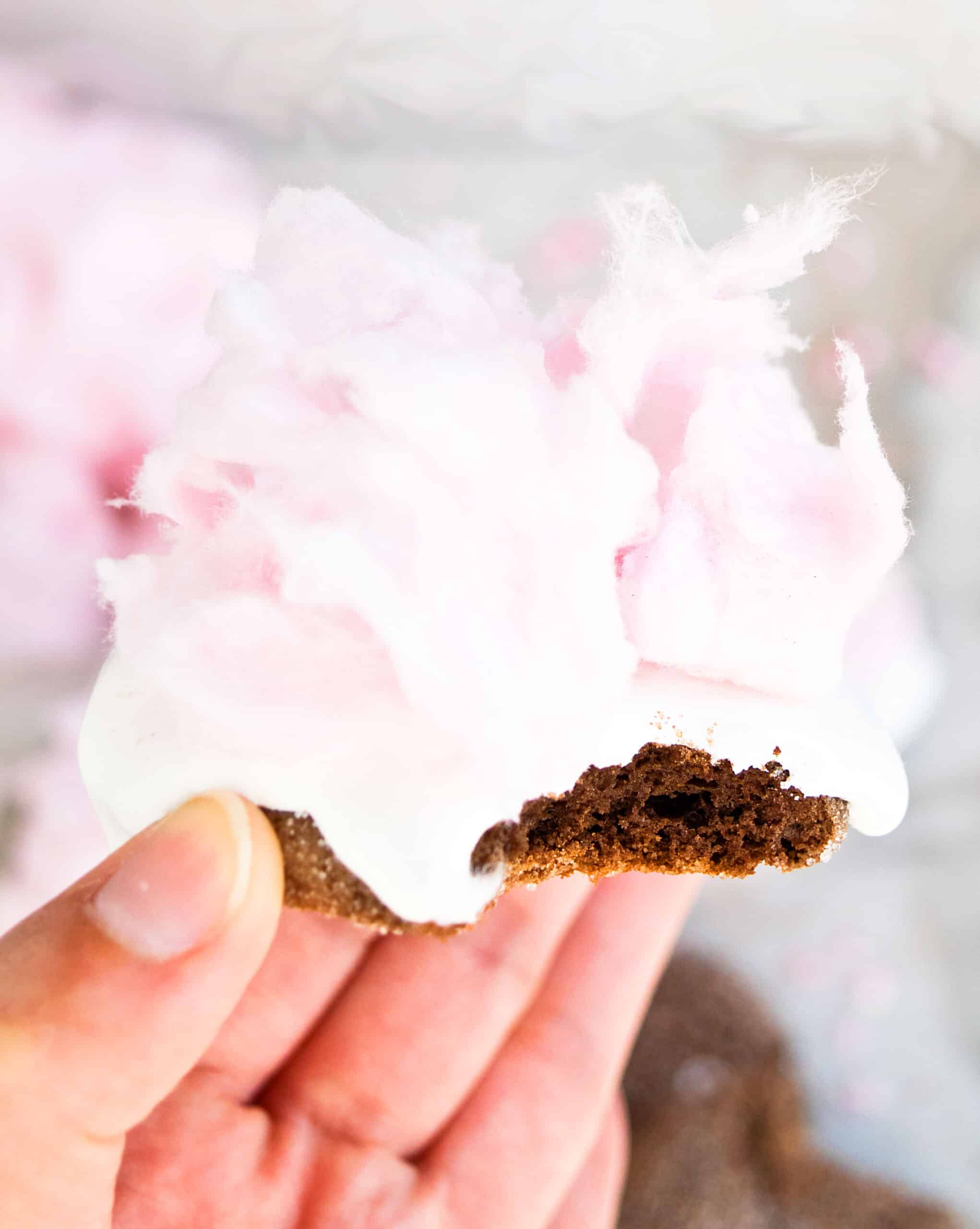 Closeup Shot of Partially Eaten Chocolate Cookie With Marshmallow Fluff and Pink Candy.