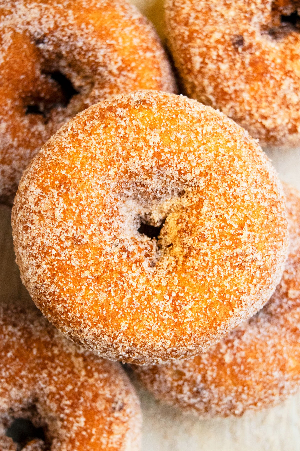 Closeup Shot of Spiced Apple Cider Cake Doughnut. 