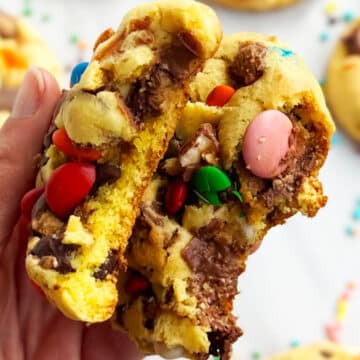 Closeup shot of a cookie broken in half. 