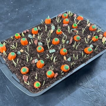 Cake covered in Oreo cookie crumbs and candies. 