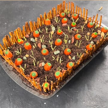 Sides of cake covered with pretzel sticks. 