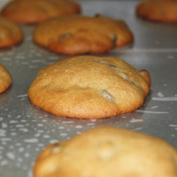 Closeup shot of baked cookie on baking tray. 