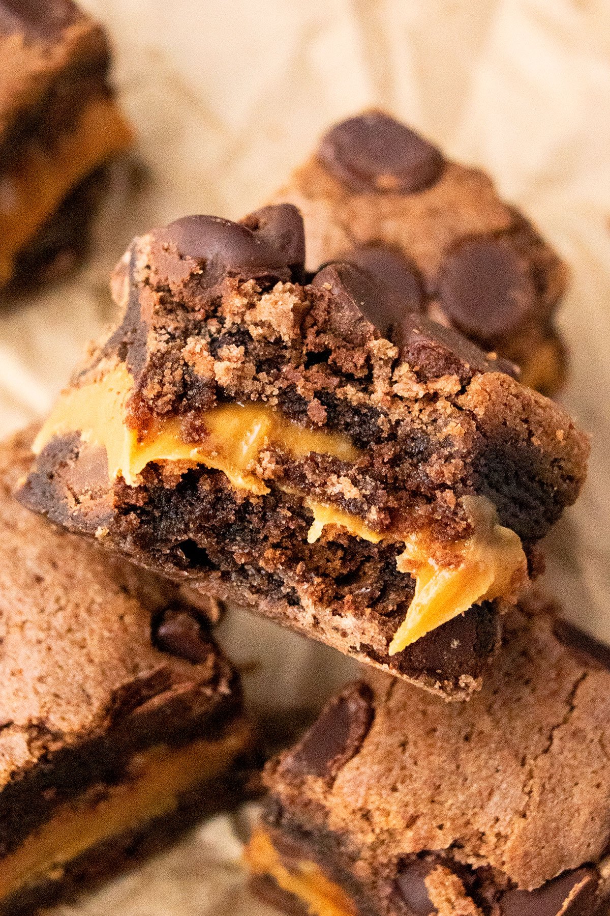 Partially Eaten Ooey Gooey Brownie Slice- Closeup Shot. 