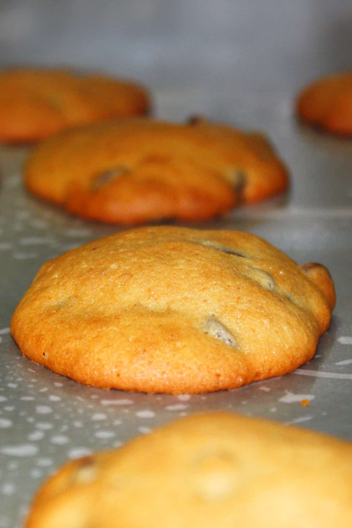 Closeup Shot of Cookie With Chocolate Chips on Baking Tray. 