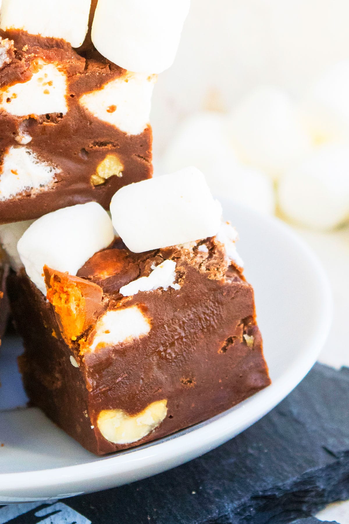 Slice of Fudge on White Dish. 