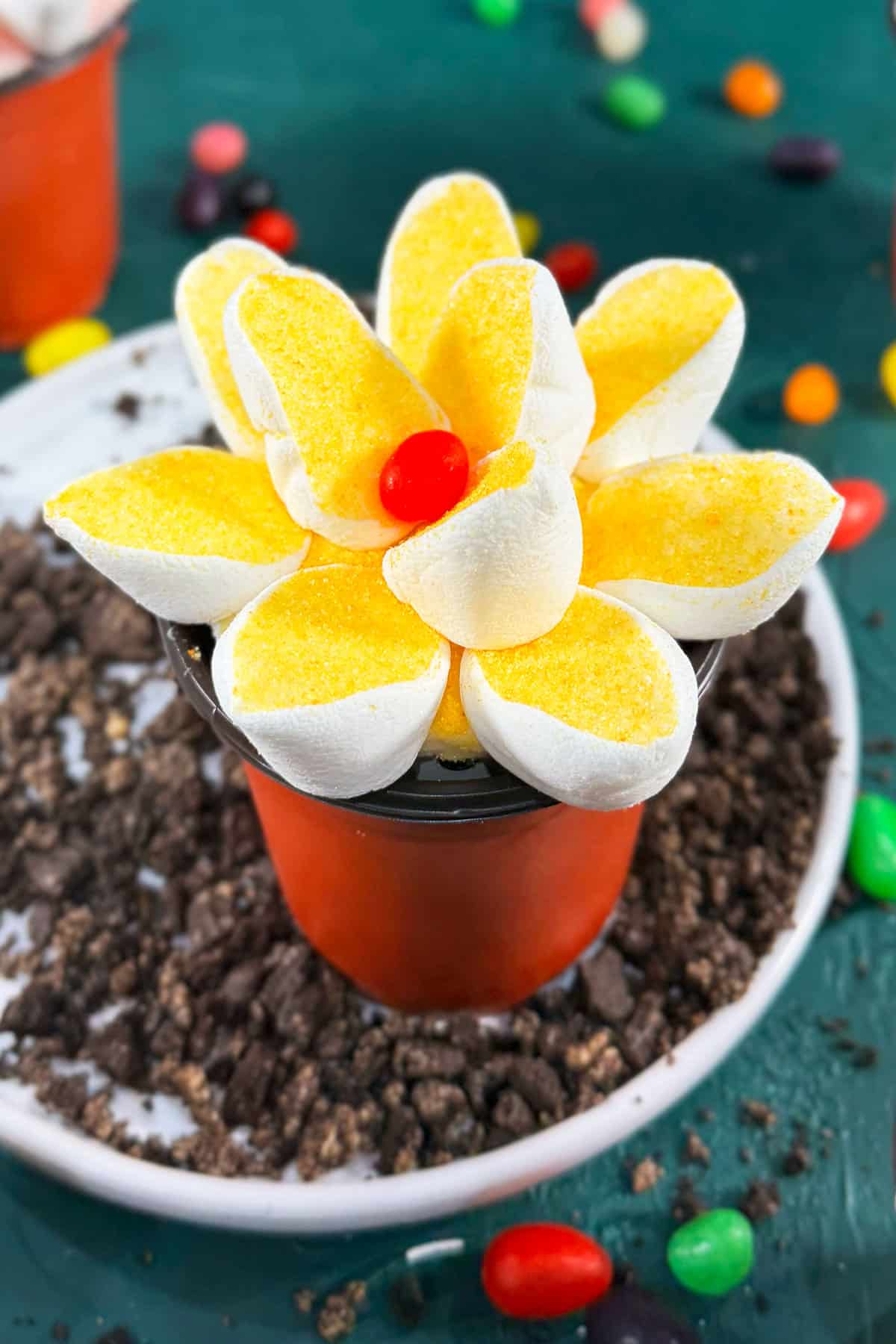 Homemade marshmallow flower cupcakes on white dish- Closeup shot. 