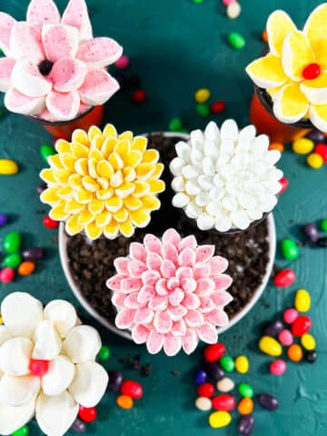 Easy marshmallow cupcakes or flower pot cupcakes on white dish with colorful jelly beans scattered everywhere.
