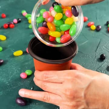 Jelly beans being added into a mini plastic flower pot. 
