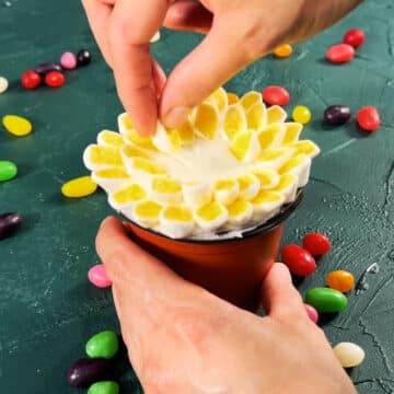 Additional rows of sugar covered marshmallows being added on top of the icing. 