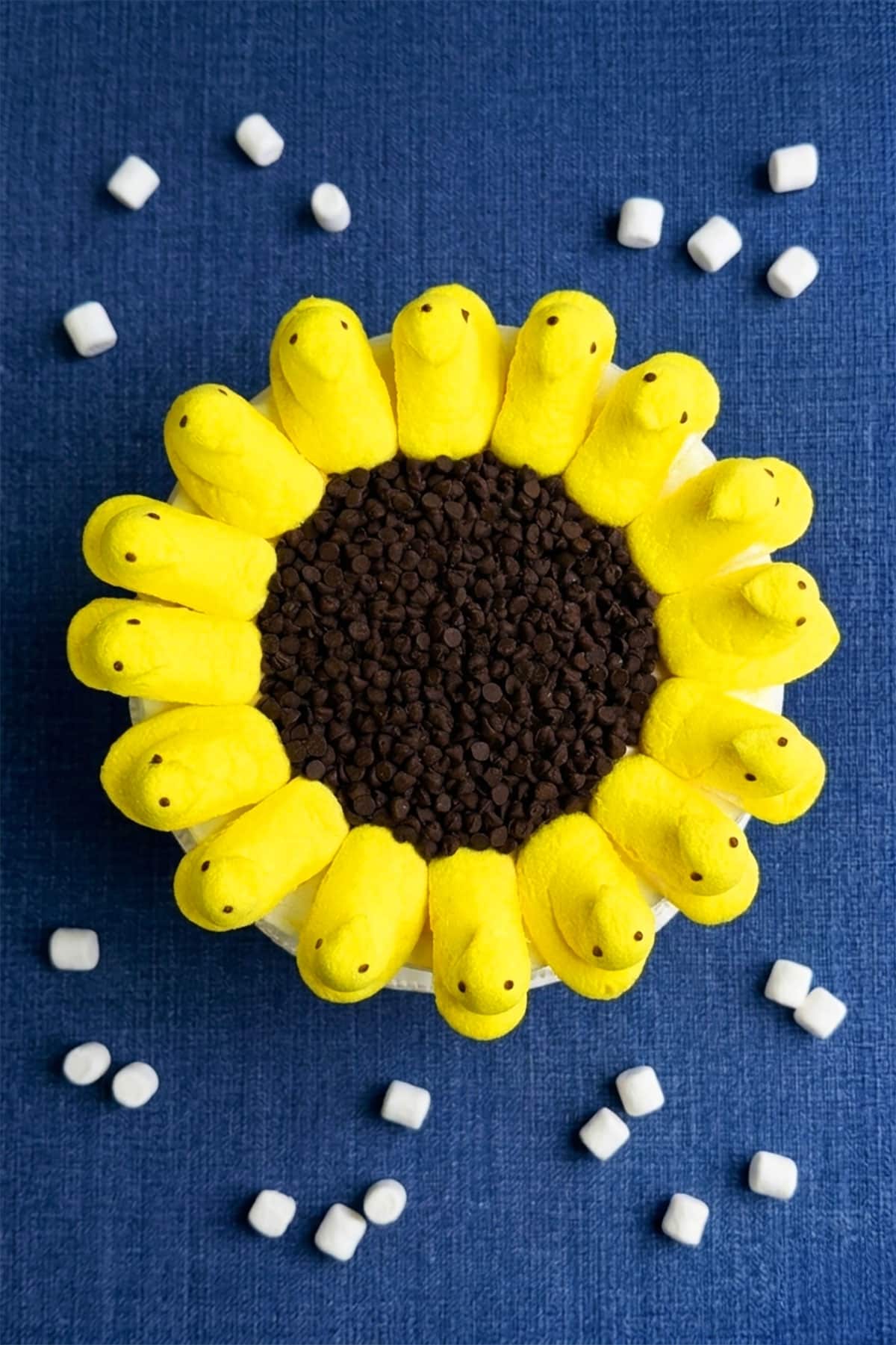 Overhead Shot of Flower Cake on Textured Blue Background. 