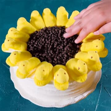 Chocolate chips being spread out on top of the cake. 