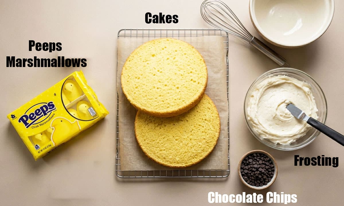 Ingredients on a neutral beige background. 